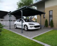 Carport Verona 299x504cm